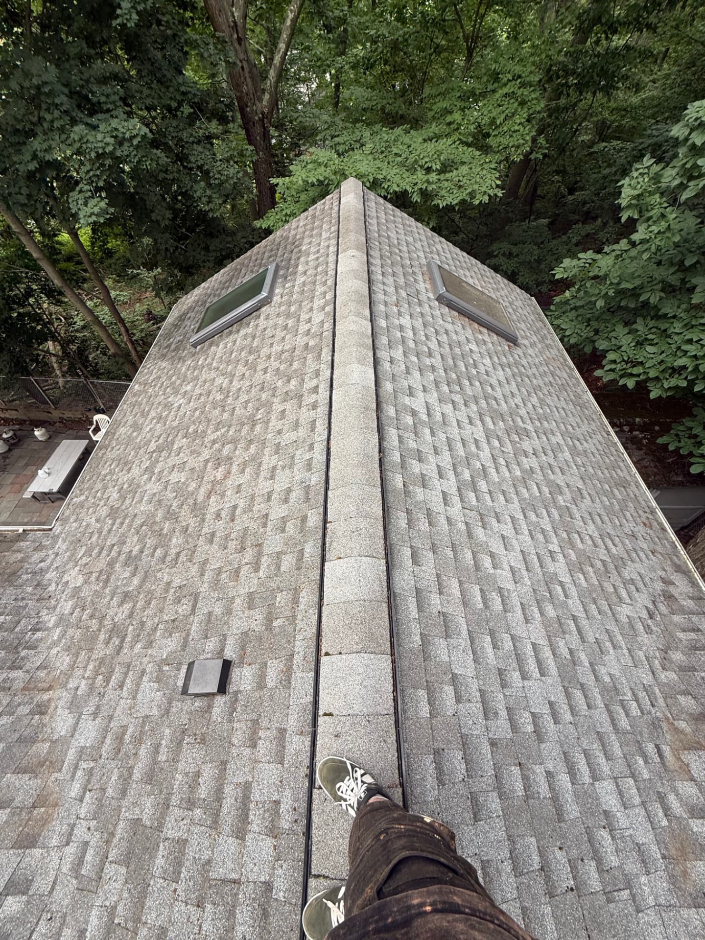The same residential asphalt roof clean after professional roof washing