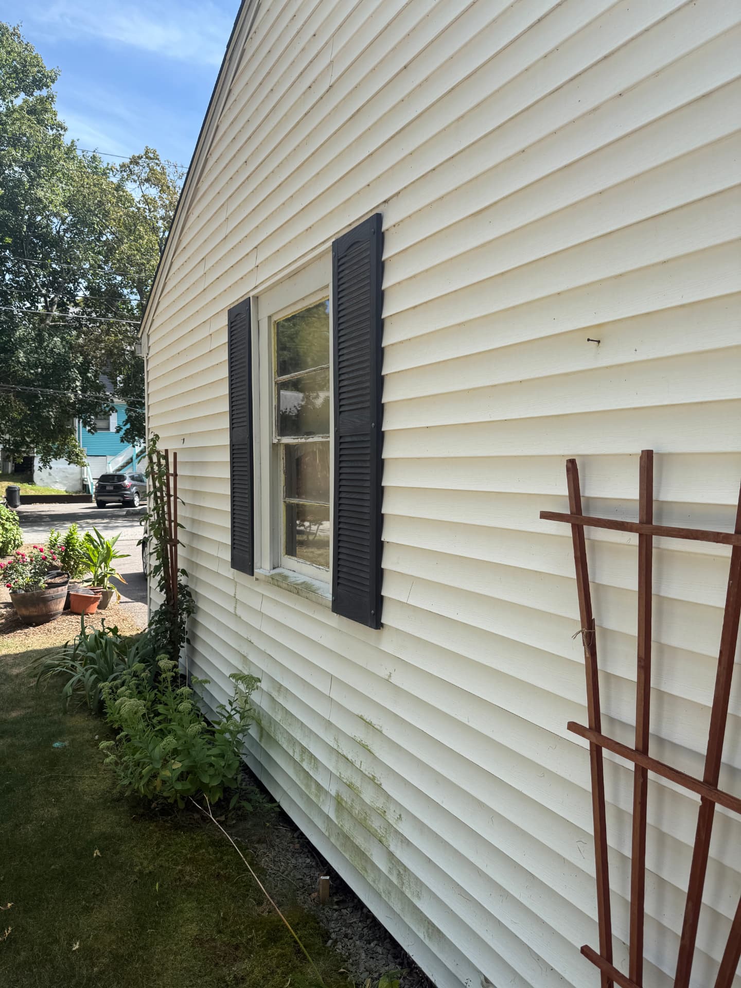 Cream siding with green algae along the foundation before washing