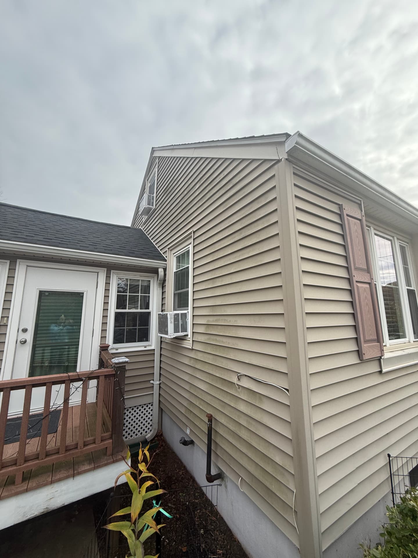 Vinyl siding with green algae streaking before house washing