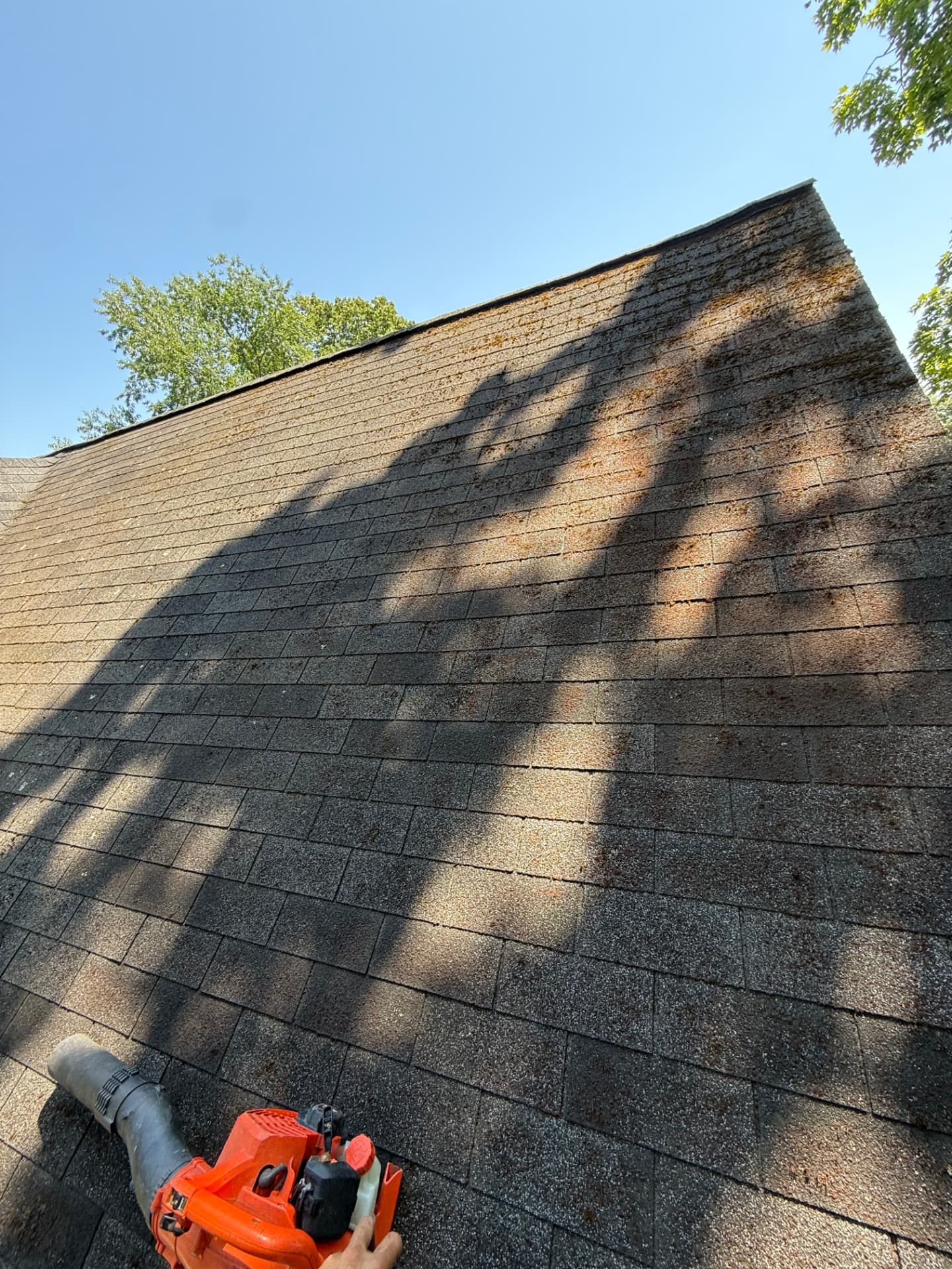 The same roof section with moss cleared away after professional washing