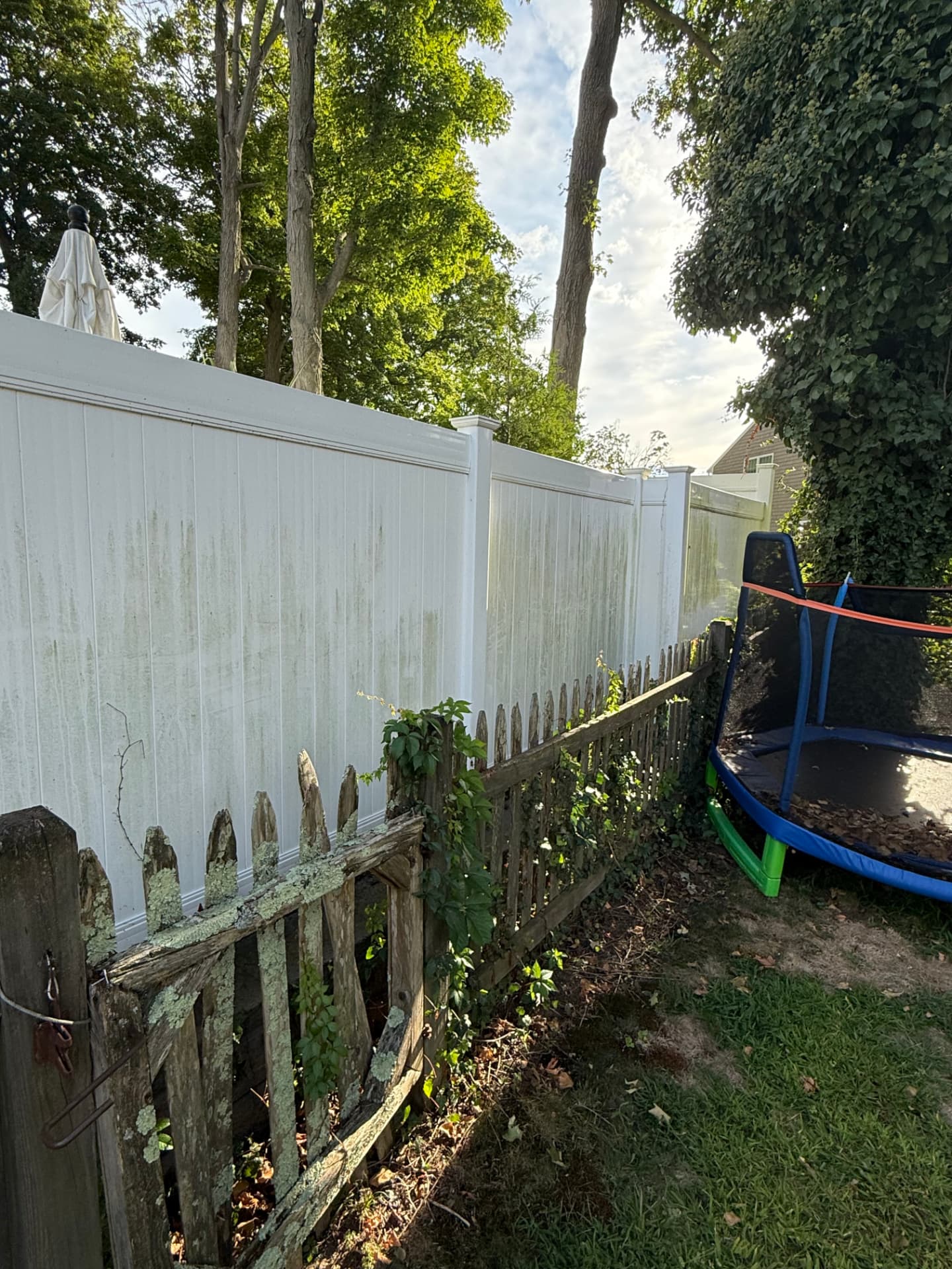 White vinyl fence with green algae streaks and a weathered picket fence before pressure washing
