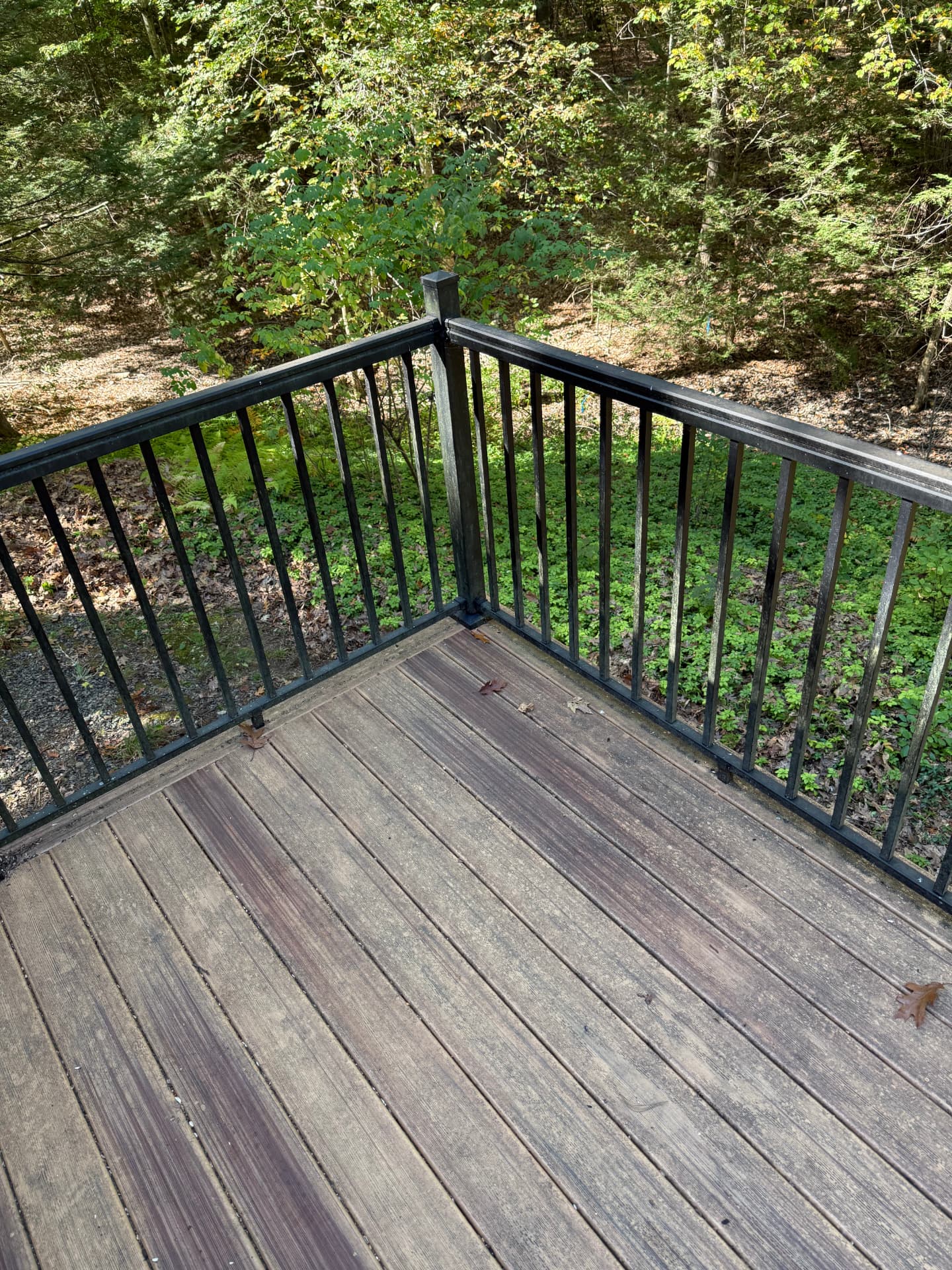 Wood deck with dark weathered grime and fallen leaves before pressure washing